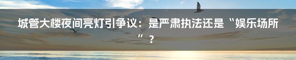 城管大楼夜间亮灯引争议:是严肃执法还是“娱乐场所”?