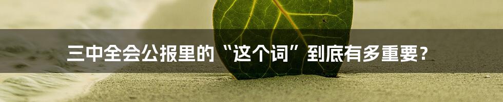 三中全会公报里的“这个词”到底有多重要?