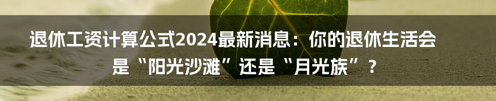 退休工资计算公式2024最新消息:你的退休生活会是“阳光沙滩”还是“月光族”?