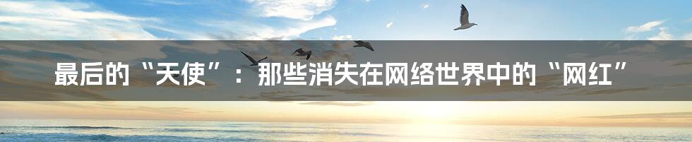 最后的“天使”:那些消失在网络世界中的“网红”