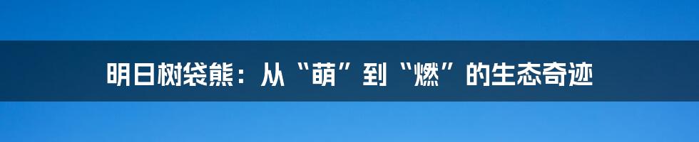 明日树袋熊:从“萌”到“燃”的生态奇迹