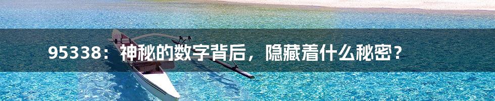 95338：神秘的数字背后，隐藏着什么秘密？