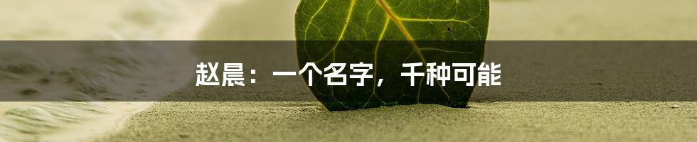 赵晨:一个名字,千种可能