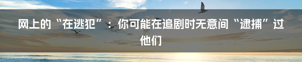 网上的“在逃犯”：你可能在追剧时无意间“逮捕”过他们