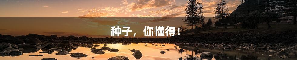 种子,你懂得!