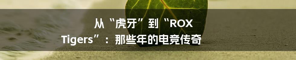 从“虎牙”到“ROX Tigers”:那些年的电竞传奇