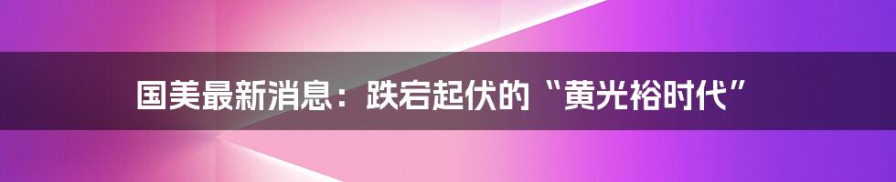 国美最新消息:跌宕起伏的“黄光裕时代”