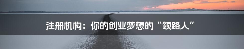 注册机构：你的创业梦想的“领路人”