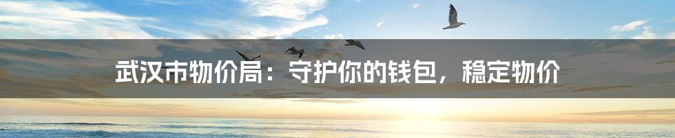武汉市物价局:守护你的钱包,稳定物价