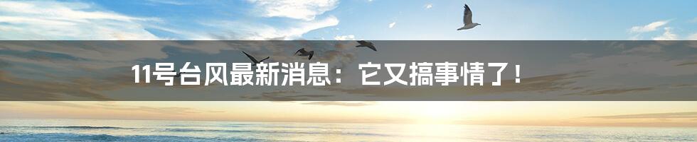 11号台风最新消息:它又搞事情了!