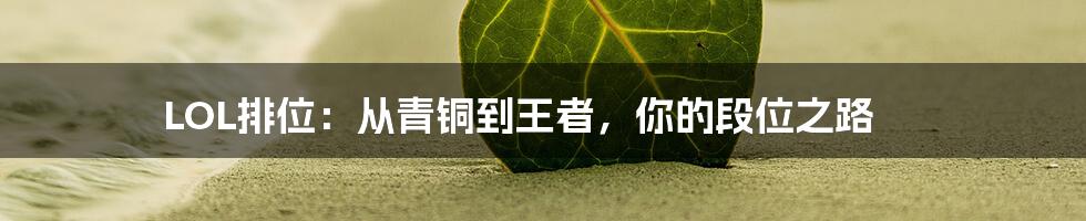 LOL排位:从青铜到王者,你的段位之路