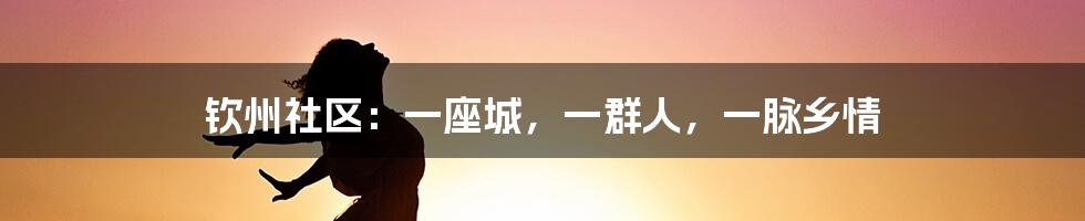 钦州社区:一座城,一群人,一脉乡情