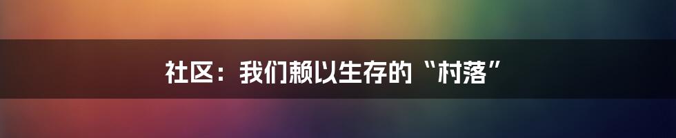 社区:我们赖以生存的“村落”