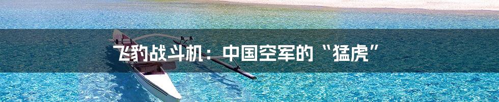 飞豹战斗机:中国空军的“猛虎”
