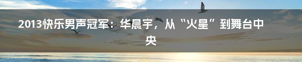 2013快乐男声冠军:华晨宇,从“火星”到舞台中央