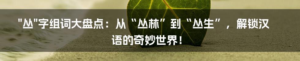 "丛"字组词大盘点:从“丛林”到“丛生”,解锁汉语的奇妙世界!