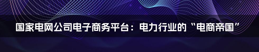 国家电网公司电子商务平台：电力行业的“电商帝国”
