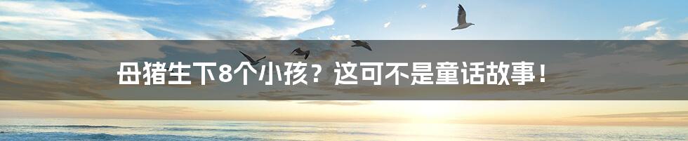 母猪生下8个小孩?这可不是童话故事!
