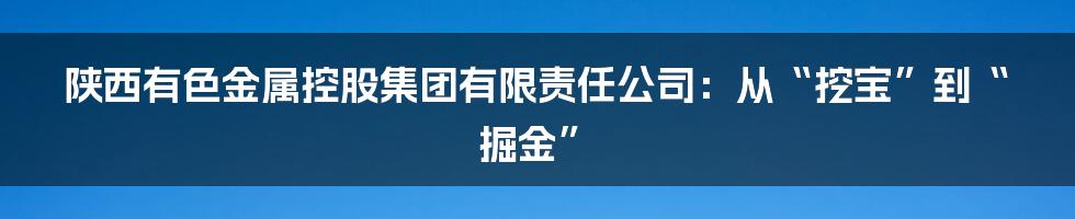 陕西有色金属控股集团有限责任公司：从“挖宝”到“掘金”