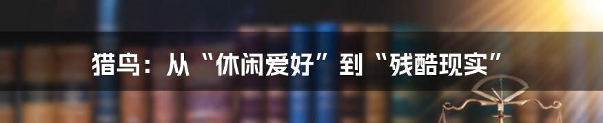 猎鸟:从“休闲爱好”到“残酷现实”