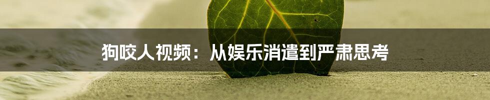 狗咬人视频:从娱乐消遣到严肃思考