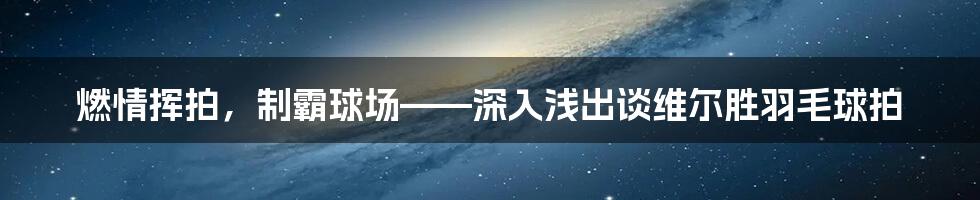燃情挥拍,制霸球场——深入浅出谈维尔胜羽毛球拍