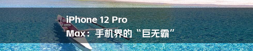 iPhone 12 Pro Max:手机界的“巨无霸”