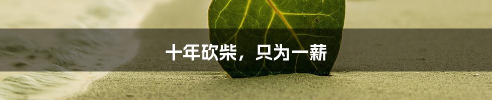 十年砍柴，只为一薪