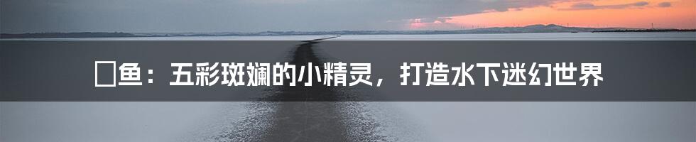 鳉鱼:五彩斑斓的小精灵,打造水下迷幻世界