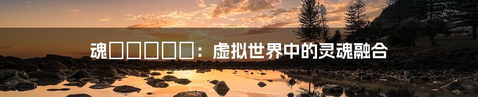 魂インサート:虚拟世界中的灵魂融合