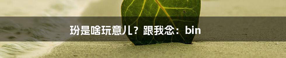 玢是啥玩意儿?跟我念:bin