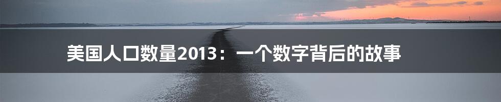美国人口数量2013:一个数字背后的故事