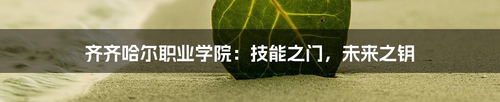 齐齐哈尔职业学院:技能之门,未来之钥