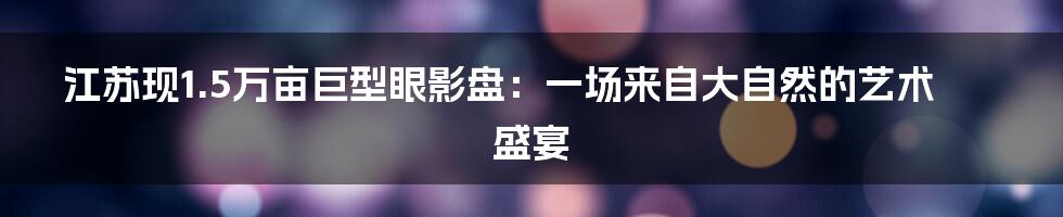 江苏现1.5万亩巨型眼影盘:一场来自大自然的艺术盛宴