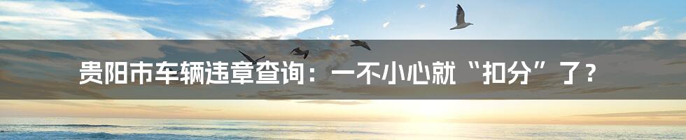 贵阳市车辆违章查询:一不小心就“扣分”了?