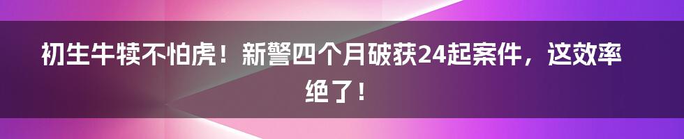初生牛犊不怕虎！新警四个月破获24起案件，这效率绝了！