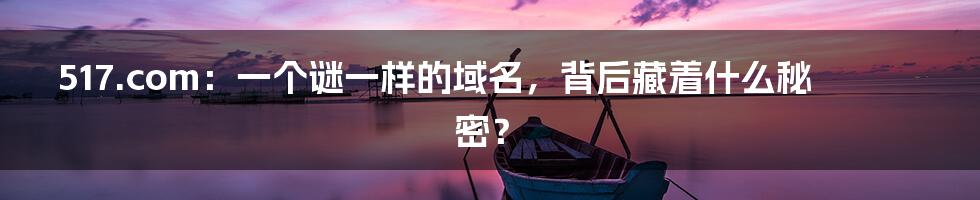 517.com:一个谜一样的域名,背后藏着什么秘密?
