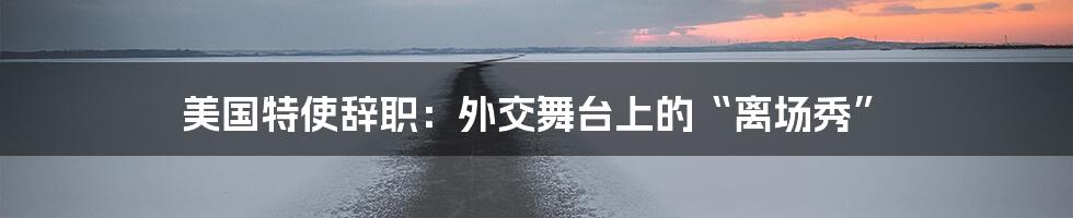 美国特使辞职：外交舞台上的“离场秀”