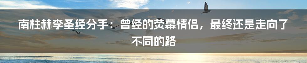 南柱赫李圣经分手：曾经的荧幕情侣，最终还是走向了不同的路