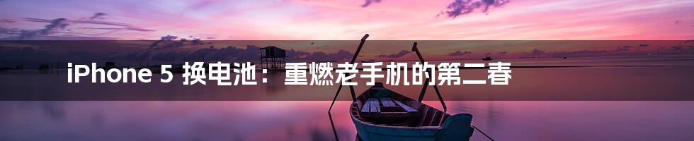 iPhone 5 换电池:重燃老手机的第二春
