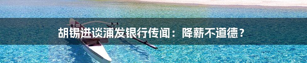 胡锡进谈浦发银行传闻：降薪不道德？