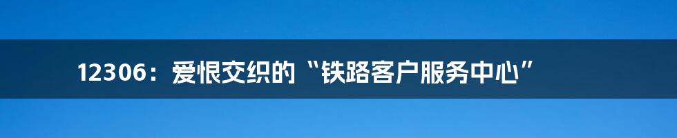 12306：爱恨交织的“铁路客户服务中心”