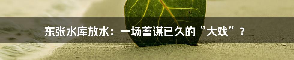 东张水库放水:一场蓄谋已久的“大戏”?