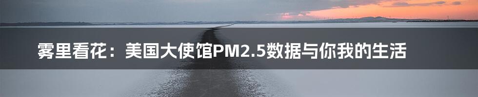雾里看花:美国大使馆PM2.5数据与你我的生活