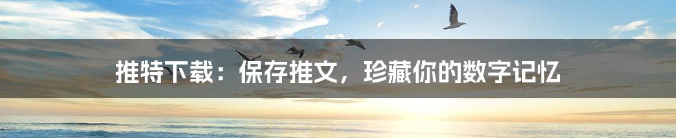 推特下载:保存推文,珍藏你的数字记忆