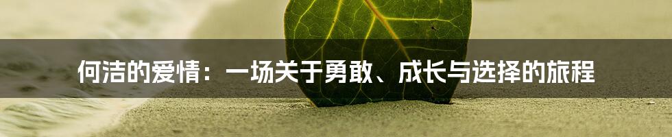 何洁的爱情:一场关于勇敢、成长与选择的旅程