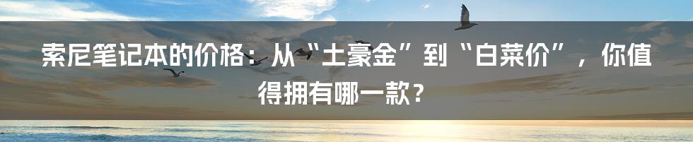 索尼笔记本的价格:从“土豪金”到“白菜价”,你值得拥有哪一款?