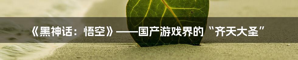 《黑神话:悟空》——国产游戏界的“齐天大圣”