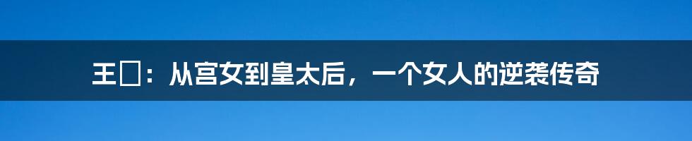 王娡:从宫女到皇太后,一个女人的逆袭传奇