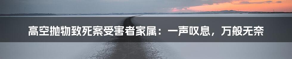 高空抛物致死案受害者家属:一声叹息,万般无奈